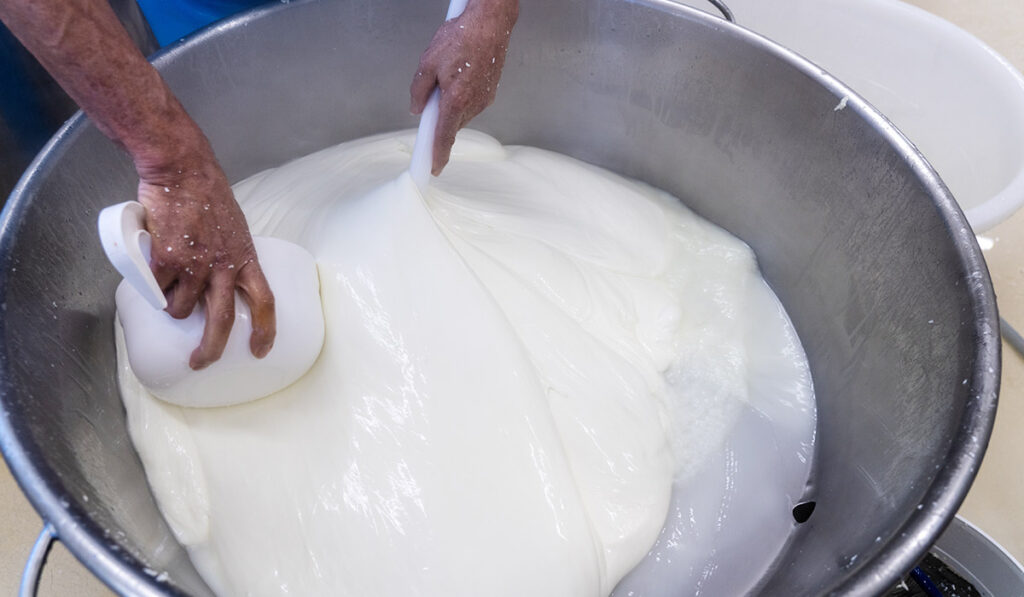 le bufalizie mozzarella di latte di bufala
