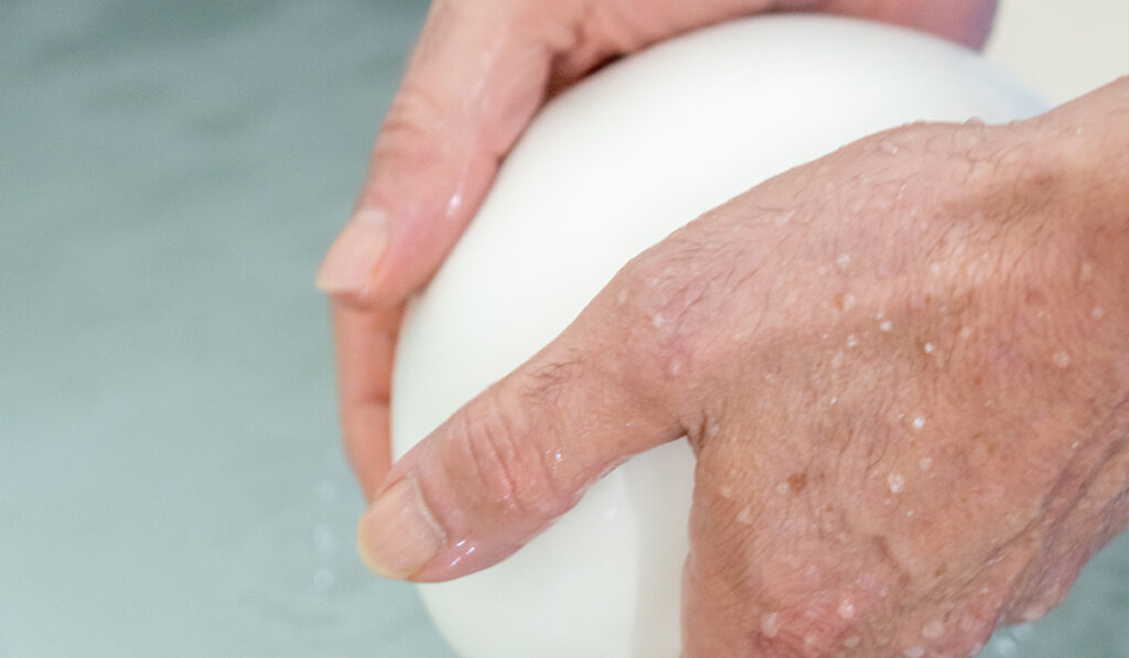 mozzarella di bufala