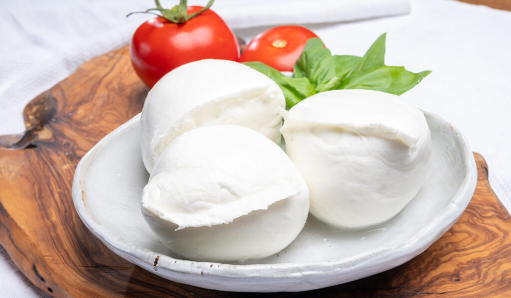 mozzarella di bufala